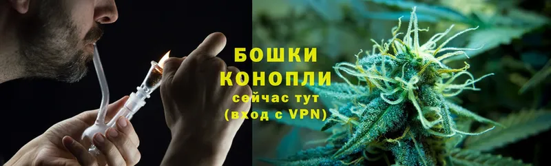 Бошки марихуана Ganja  дарнет шоп  блэк спрут ссылки  Богучар 